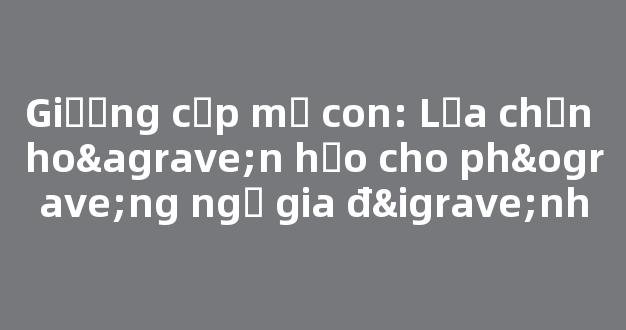 Giường cặp mẹ con: Lựa chọn hoàn hảo cho phòng ngủ gia đình